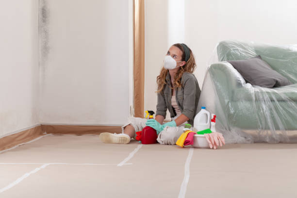 Reliable Mold Remediation contractor in Sudbury, MA by WQB Mold Removal